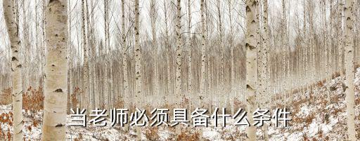 当老师必须具备什么条件