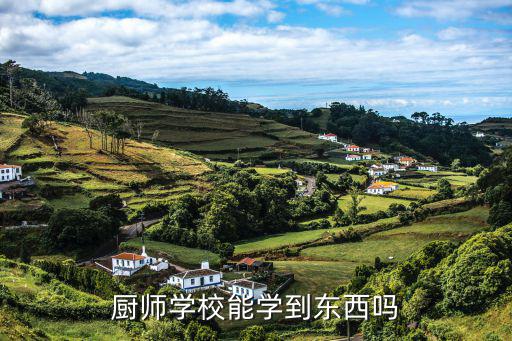 厨师学校能学到东西吗