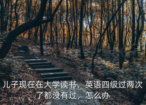 儿子现在在大学读书，英语四级过两次了都没有过，怎么办