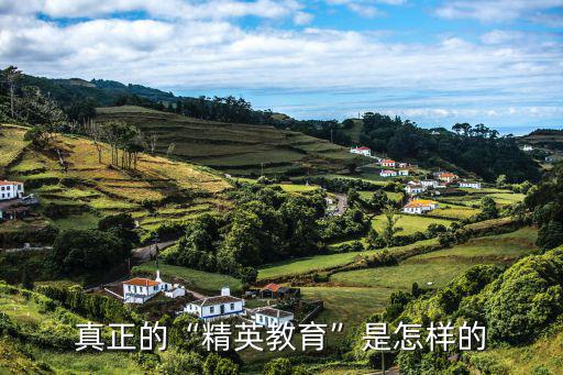 真正的“精英教育”是怎样的