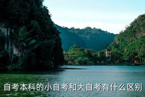 自考本科的小自考和大自考有什么区别