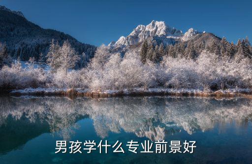 男孩学什么专业前景好
