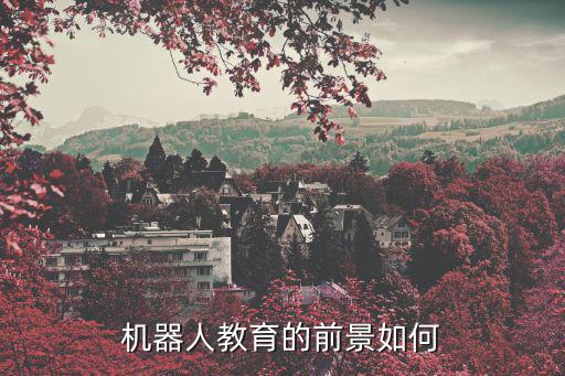 机器人教育的前景如何