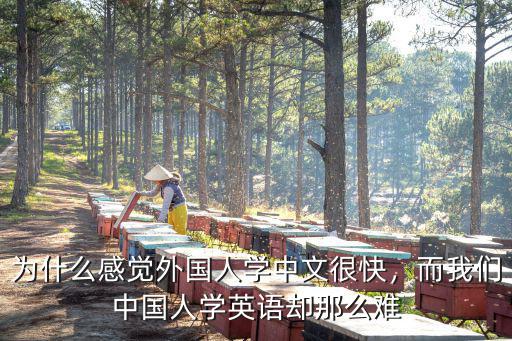 为什么感觉外国人学中文很快，而我们中国人学英语却那么难