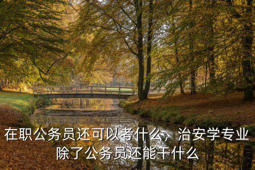 在职公务员还可以考什么，治安学专业除了公务员还能干什么