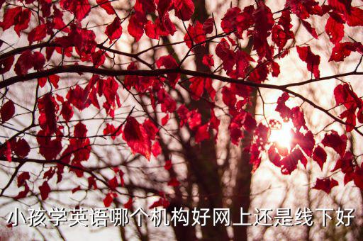 小学在哪里学英语好呢,小孩学英语哪个机构好