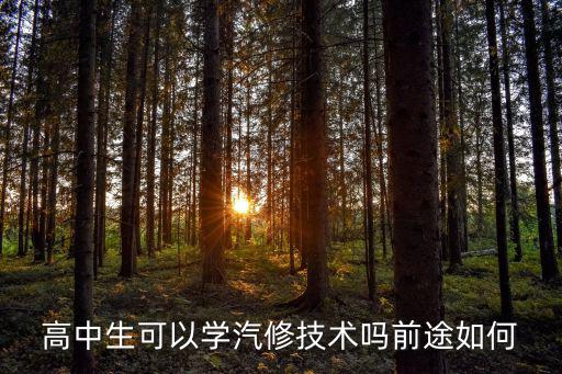 高中生学汽修怎么样,高中生可以学汽修技术吗
