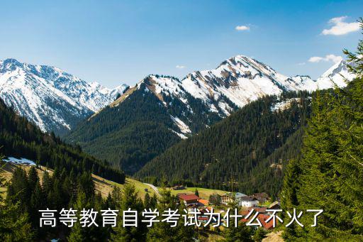 高等教育自学考试为什么不火了