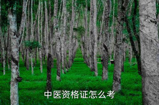 中医资格证怎么考
