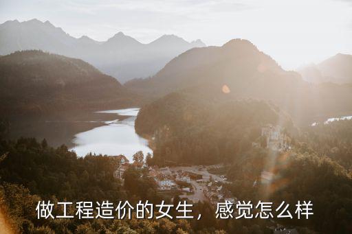 做工程造价的女生，感觉怎么样