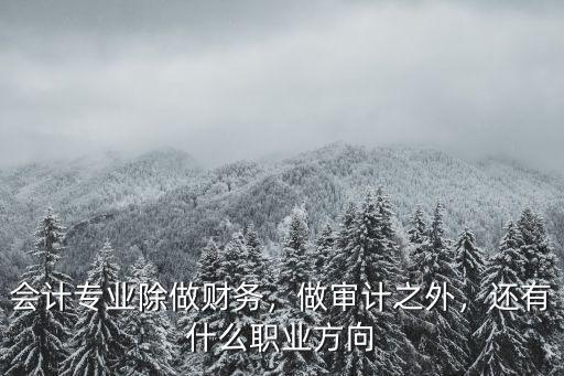 专业会计做什么,会计专业毕业之后可以做什么