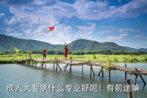 成人管理公司学什么专业好,成人高考学什么专业比较好