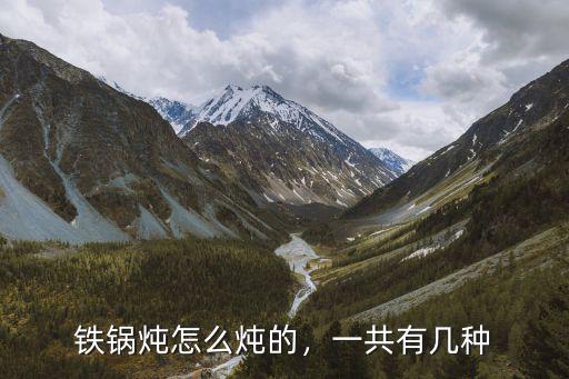 铁锅炖怎么炖的，一共有几种