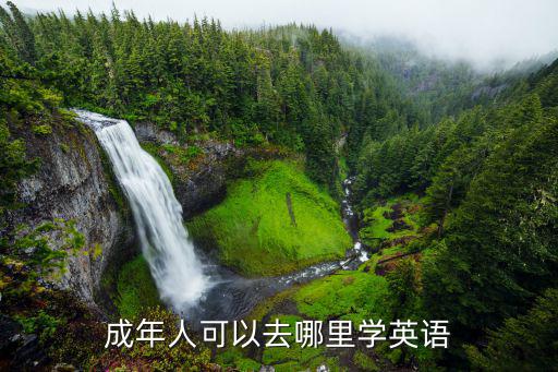 成年人可以去哪里学英语