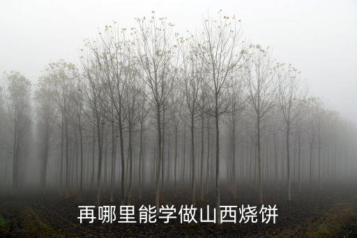 哪里有学烙烧饼,再哪里能学做山西烧饼