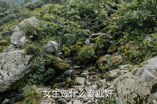 2017选什么专业好女生,女生选什么专业好