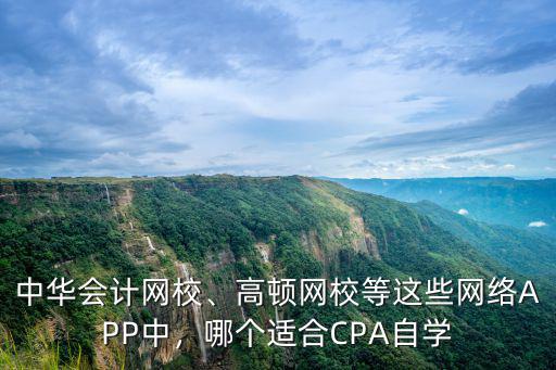 中华会计网校、高顿网校等这些网络APP中，哪个适合CPA自学