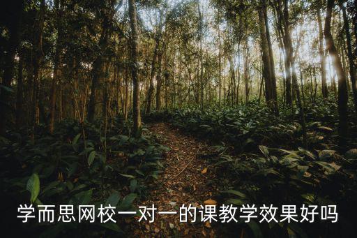 学而思网校一对一的课教学效果好吗