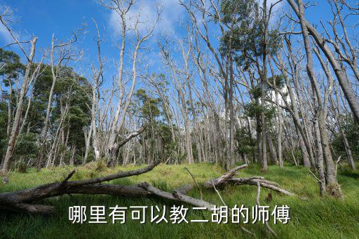 长春哪里教二胡,哪里有可以教二胡的师傅