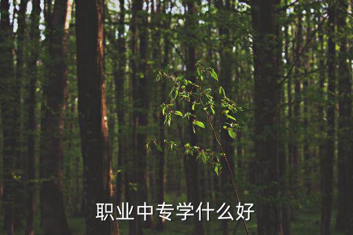 职业中专学什么好