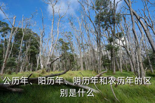 公历年、阳历年、阴历年和农历年的区别是什么