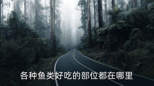 各种鱼类好吃的部位都在哪里