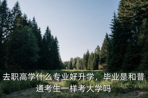 去职高学什么专业好升学，毕业是和普通考生一样考大学吗