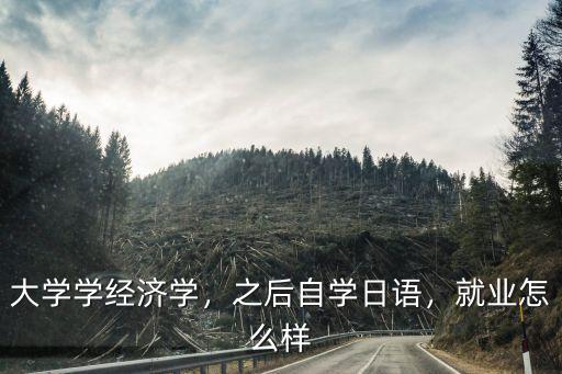 大学学经济学，之后自学日语，就业怎么样