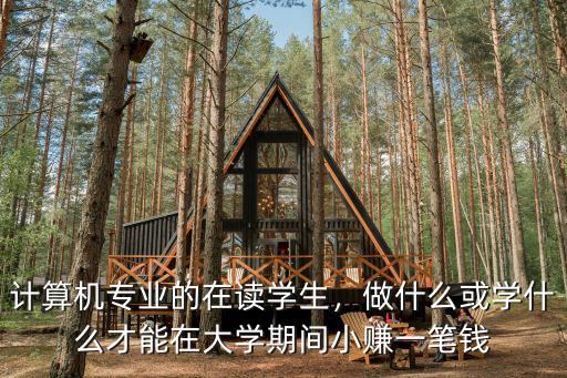 计算机专业的在读学生，做什么或学什么才能在大学期间小赚一笔钱