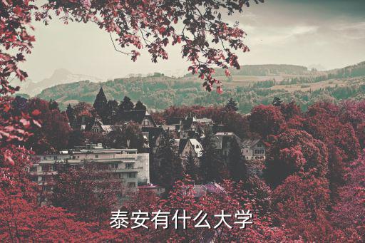 泰安有什么大学