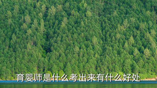 育婴师是什么考出来有什么好处