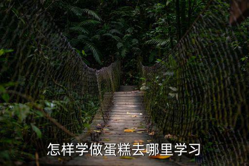 普宁哪里有学蛋糕的,学做蛋糕应该去哪学