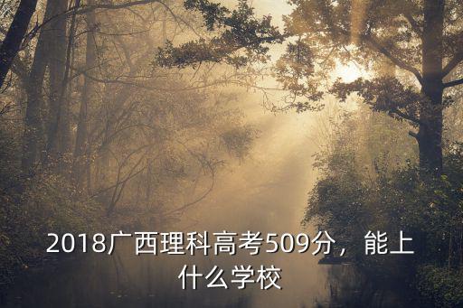 2018广西理科高考509分，能上什么学校