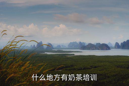 什么地方有奶茶培训