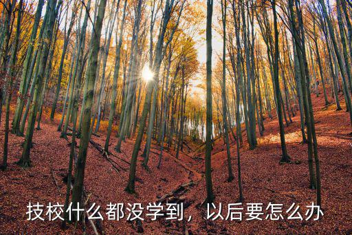 技校什么都没学到，以后要怎么办