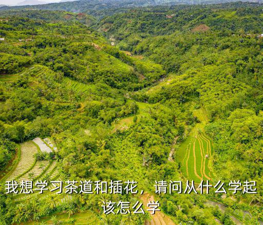 我想学习茶道和插花，请问从什么学起该怎么学