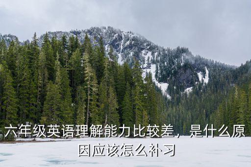 六年级英语理解能力比较差，是什么原因应该怎么补习