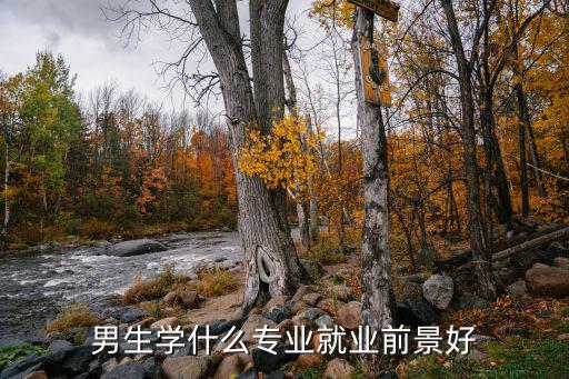 男生学专业学什么好,男生学什么专业好
