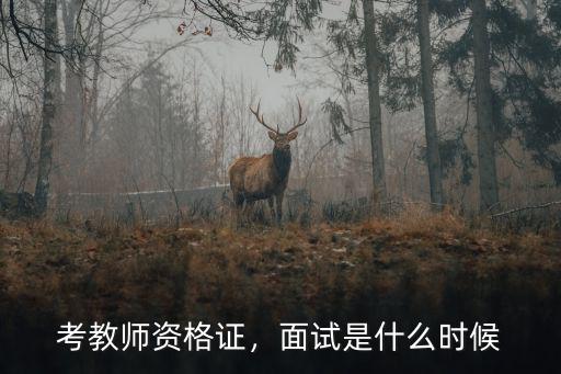 考教师资格证，面试是什么时候