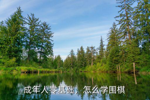 成年人零基础，怎么学围棋