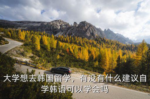 大学想去韩国留学，有没有什么建议自学韩语可以学会吗