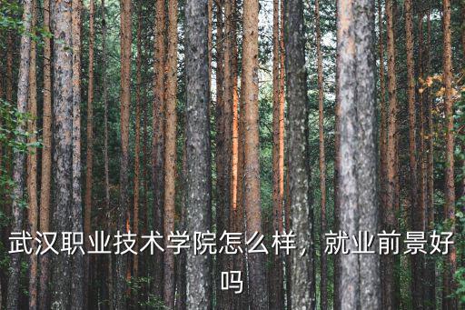 武汉职业技术学院环境怎么样,武汉职业技术学院怎么样