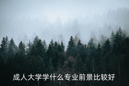 成人大学学什么专业前景比较好