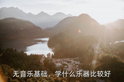无音乐基础，学什么乐器比较好