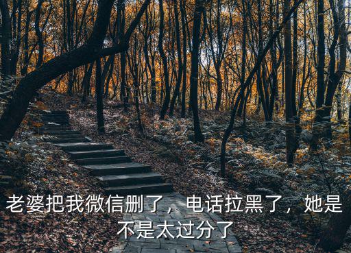 老婆把我微信删了，电话拉黑了，她是不是太过分了