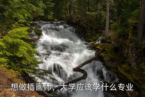 想做插画师，大学应该学什么专业