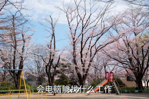学了电脑能做什么工作吗,学计算机可以做什么工作