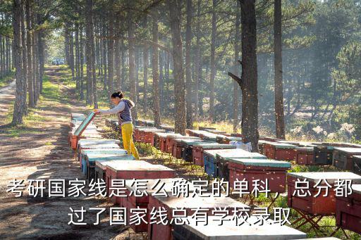 考研单科线怎么划的,考研的分数线是怎么划定的