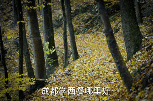 成都哪里学西餐西点,成都学西餐哪里好