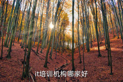 it培训机构哪家好